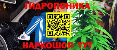 ГАЛЛЮЦИНОГЕННЫЕ ГРИБЫ Будённовск