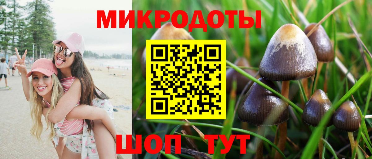 Королёв  Псилоцибиновые грибы Magic Shrooms  Вход с VPN 